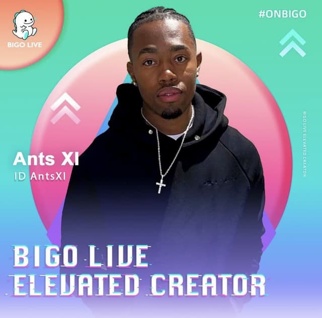 Ants XI